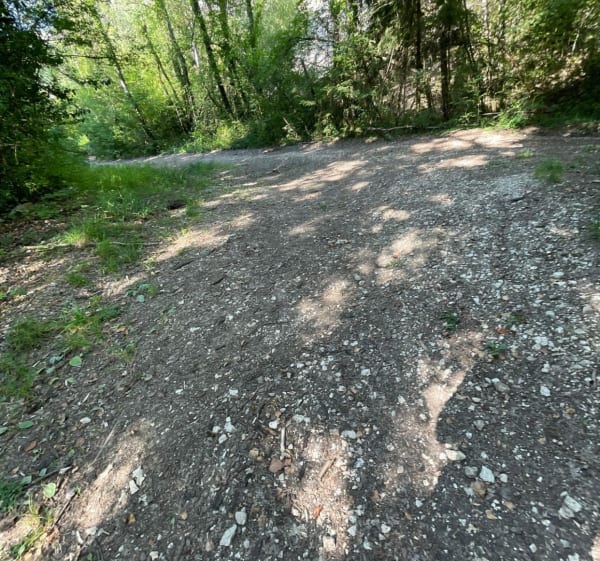 Petite balade sympa près de Doussard - Lathuile - 1