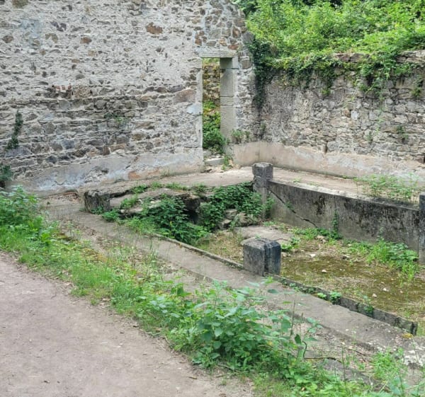 Le Garon - Orliénas - 1