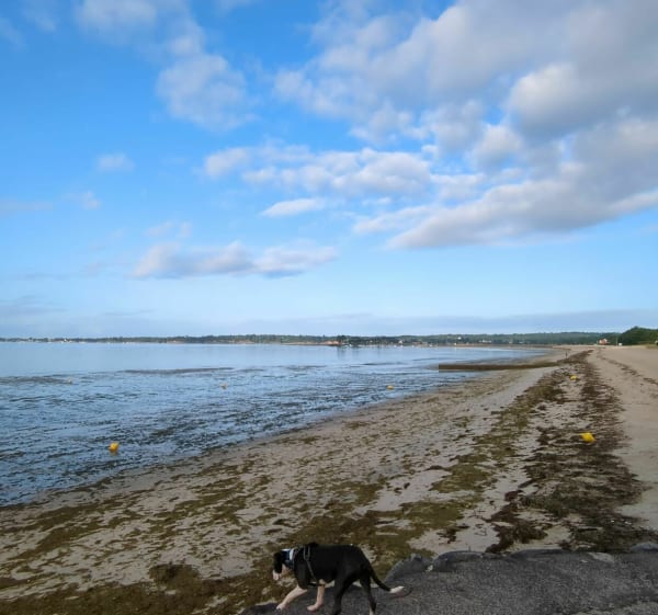De l'Anse de Saint-Laurent à l'Anse de Penfoulic - La Forêt-Fouesnant - 1
