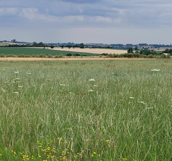 Villages et campagne à Cuy-Saint-Fiacre - Cuy-Saint-Fiacre - 1