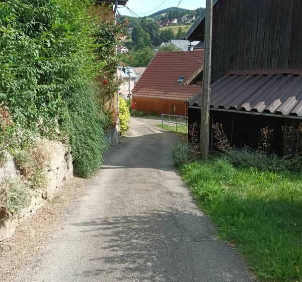 La ch'tite rando de Grego au Hohrodberg à Soultzeren - Soultzeren - 1