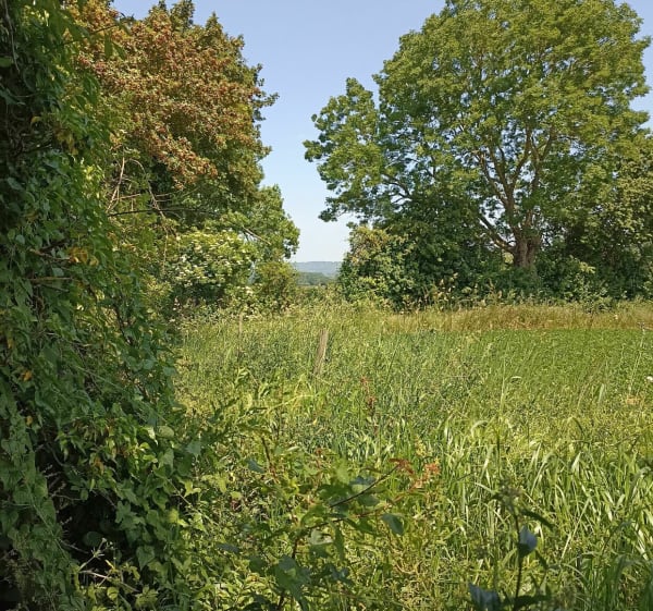 Sur les chemins de Mirbel - Mézidon-Canon - 1