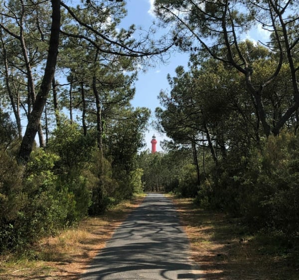 De Ronce-les-bains à la Palmyre - La Tremblade - 1