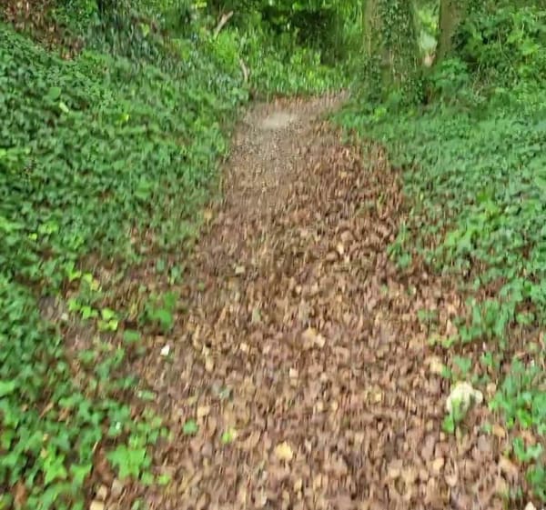 Balade sur les Monts de Desvres et le Mont Hulin - Desvres - 1