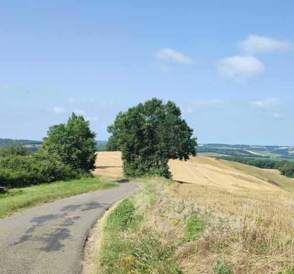 Balade champêtre (vtc-vtt) autour de Jegun - Jegun - 1