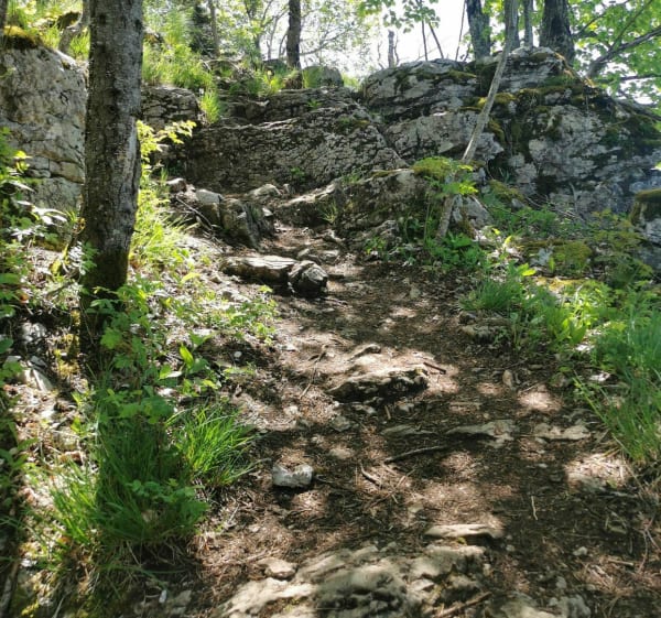 Grand piton via la boucle des convers - Présilly - 1