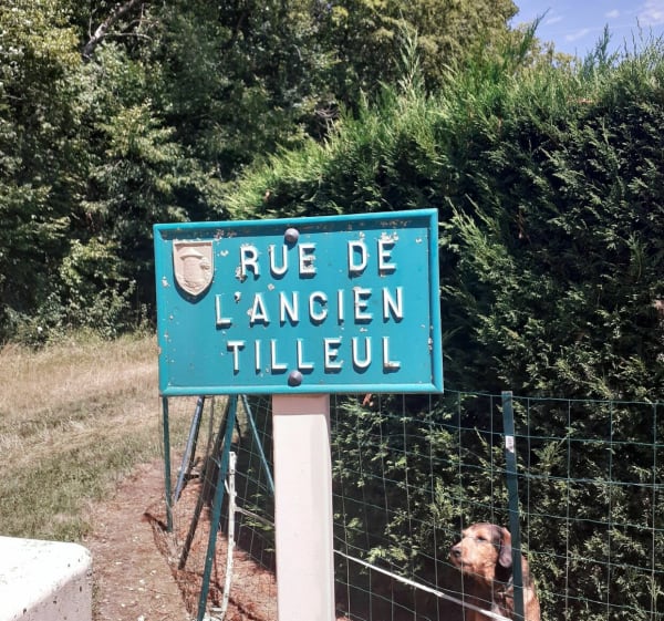 Source de l'Oisy et forêt de Trucy - Trucy-l'Orgueilleux - 1