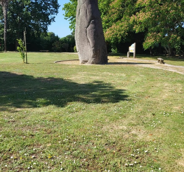 Retour vers le passé à Avrillé - Avrillé - 1