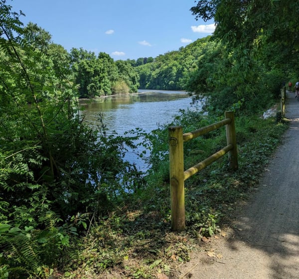 Promenade aux  bord de la Mayenne - Avrillé - 1