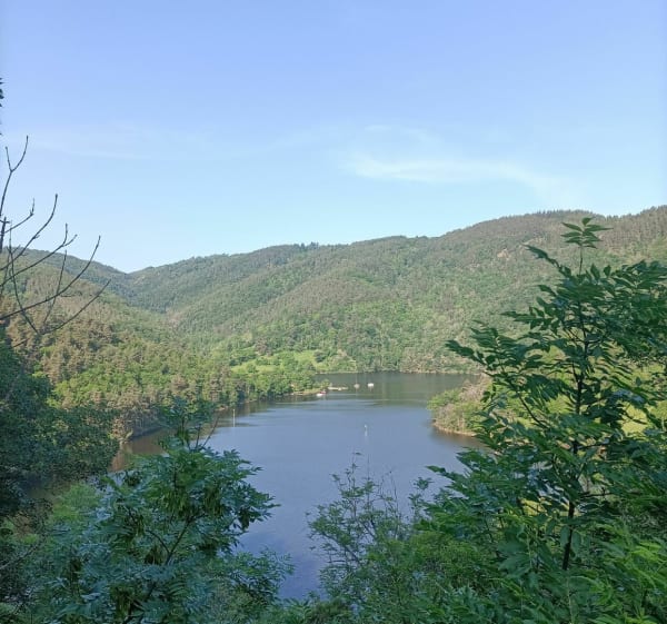 En passant par les bords de Loire - Roche-la-Molière - 1