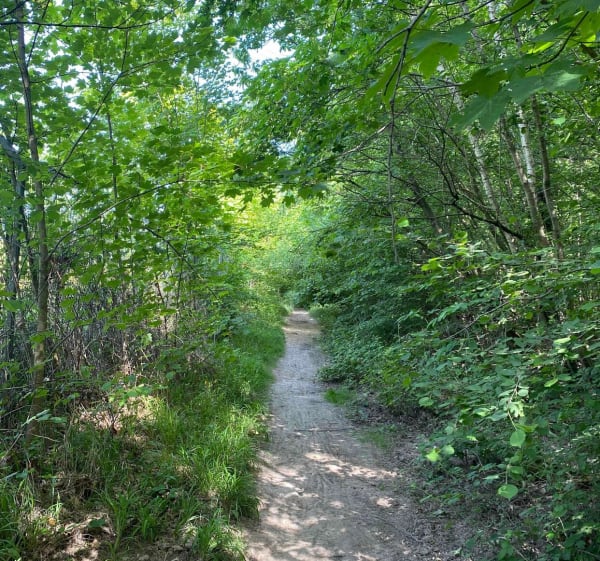 Vtt en après-midi ‍️ lac de Créteil bois Notre Dame - Boissy-Saint-Léger - 1