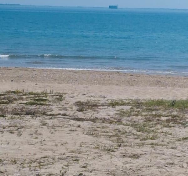 Fort boyard depuis l'aérodrome à vélo - France - 1
