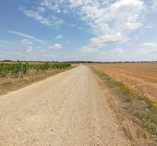 Balade VTT au Nord ouest de Migné-Auxance - Migné-Auxances - 1