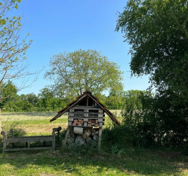 Méréville — Lupcourt — Burthecourt-aux-Chênes et retour - Méréville - 1