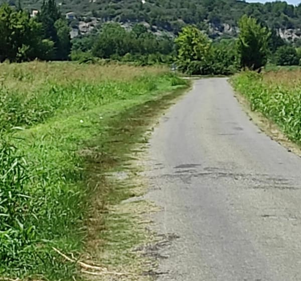 Vedène, Le Thor, Velleron par les petites routes - Vedène - 1