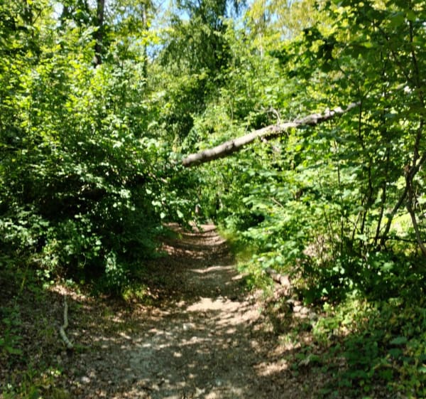 Petit parcours du Parc de St-Cyr depuis Elbeuf - Elbeuf - 1