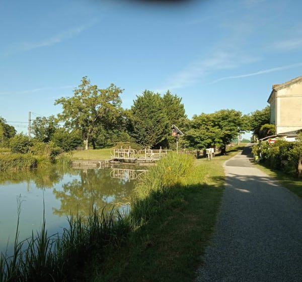 Le canal du Midi entre Boé et Lamagistère, retour par Donzac - Boé - 1