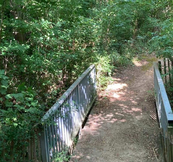 De Peltre vers Ban Saint-Pierre et Magny - Peltre - 1