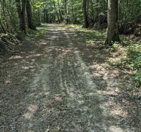 Promenade gravel au départ de Nevoy - Nevoy - 1