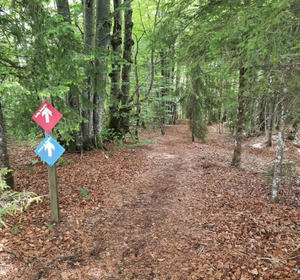 Sortie VTT sportive sur les crêtes du Jura - Carole - 1