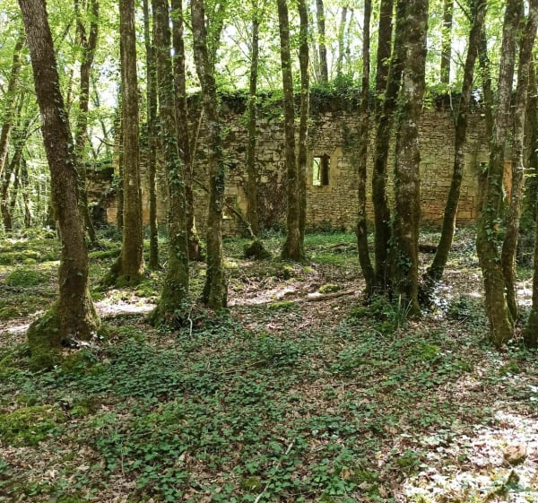 Balade jusqu'au Château de Commarque - Les Eyzies - 1