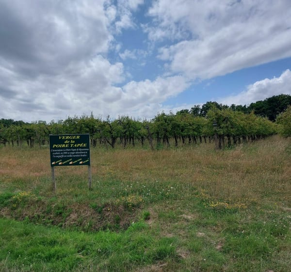 A la découverte du village de La Poire Tapée et les bord de l'Indre - Rivarennes - 1