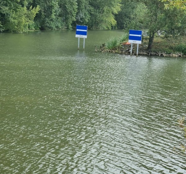 "La Ronde" dans le marais Poitevin - La Ronde - 1
