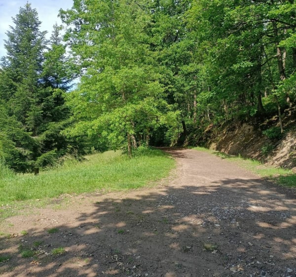 Petit tour par les puits de mine - Roche-la-Molière - 1