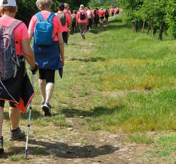 Courir autour de Roussillon - Salaise-sur-Sanne - 1