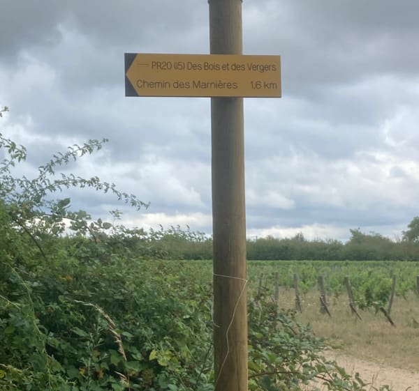 Entre champs et forêt de Folleville depuis les Maisons Brulées - Saint-Hilaire-Saint-Mesmin - 1
