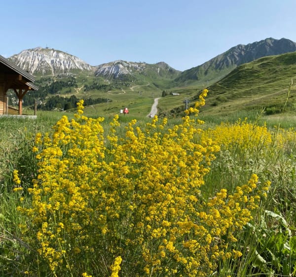 Le mont Jovet par la crête des Etroits au départ d’Aime 2000 - Aime-la-Plagne - 1