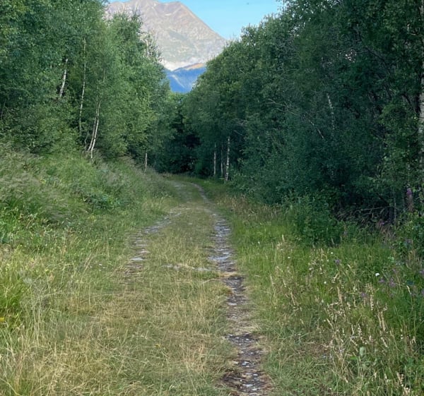 Entre Molière et les 2 Alpes - Les Deux Alpes - 1