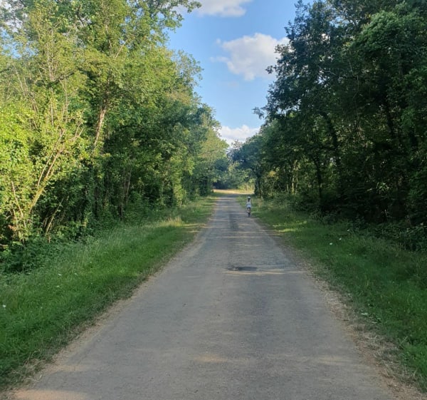 Balade en plaine Berrichonne par Brécy, à vélo - Brécy - 1
