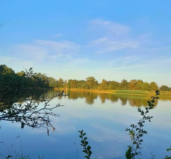 Boucle boisée à travers les étangs depuis Saint-Paul-de-Varax - Saint-Paul-de-Varax - 1