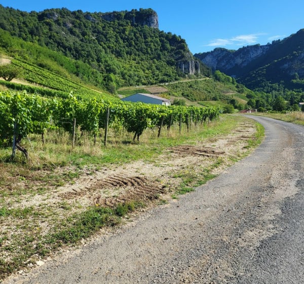 Cerdon et le Rocher de Saint-Alban - Cerdon - 1