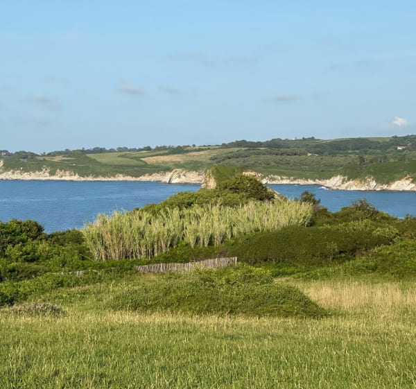 Gemakkelijke wandeling met prachtige panorama's in Hendaye - Hendaye - 1