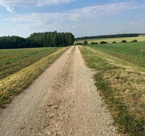 Le Marais de  Sans Fond - Fénay - 1