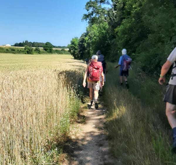 Belle randonnée avec de beaux paysages variés à La Croix-Saint-Leufroy - Clef-Vallée-d'Eure - 1