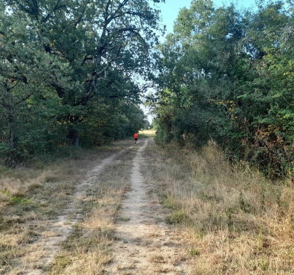 Trail 5 km Montbartier - Bessens - 1