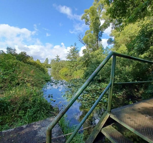 Les marais de Rumaucourt - Écourt-Saint-Quentin - 1