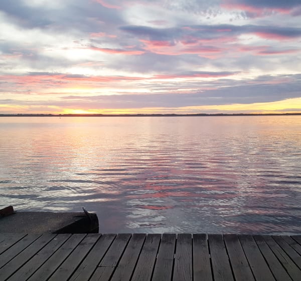 Excursion forestière avec vue sur le Lac de Cazaux - Biscarrosse - 1