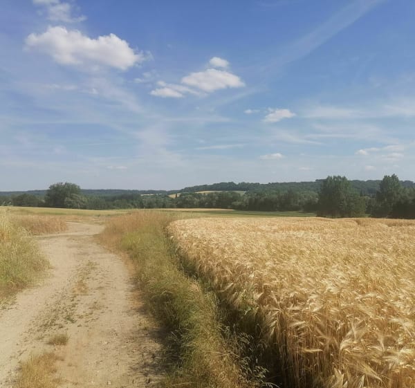 Gravel entre Soissons et Fontenoy - Soissons - 1