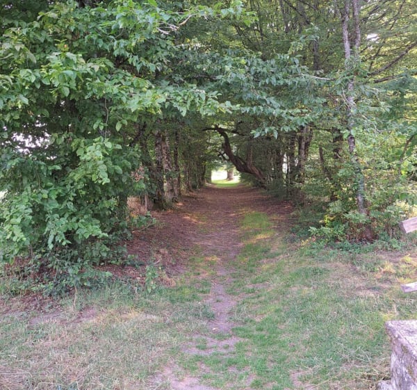 Een korte rondleiding door Durbelière - Mauléon - 1