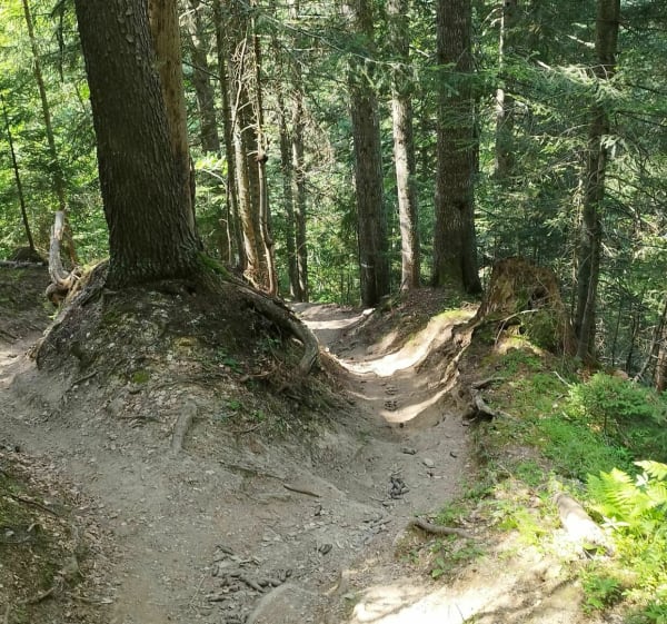 De Praz-sur-Arly au Crêt du Midi - Praz-sur-Arly - 1