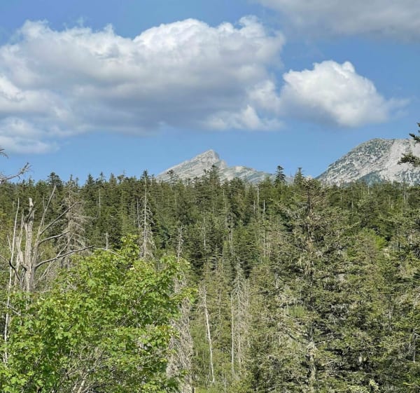 Balade sur les hauts plateaux du Vercors - LAURENT - 1