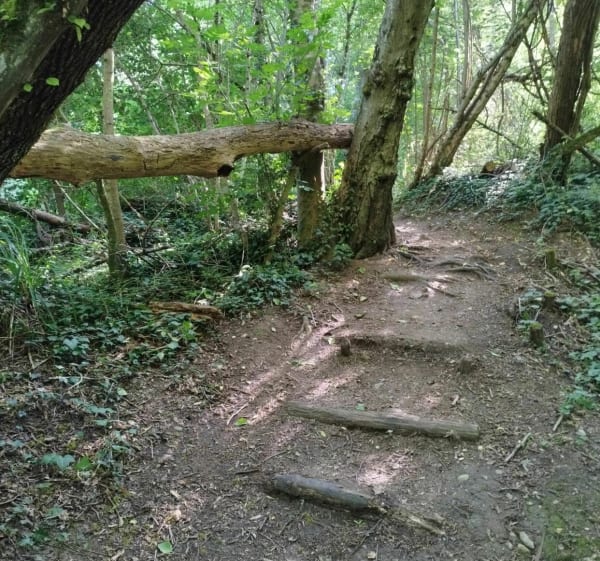 Balade sur le sentier du moulin de la Serpe - Sciez - 1
