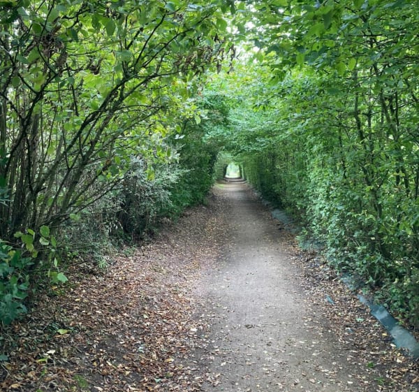 Petite balade entre champs et forêts autour de La Garnache à vélo - La Garnache - 1