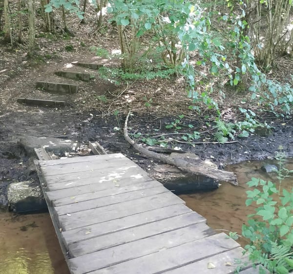 Beau parcours VTT mi route mi chemin autour du Soultzthal. - Gœrsdorf - 1