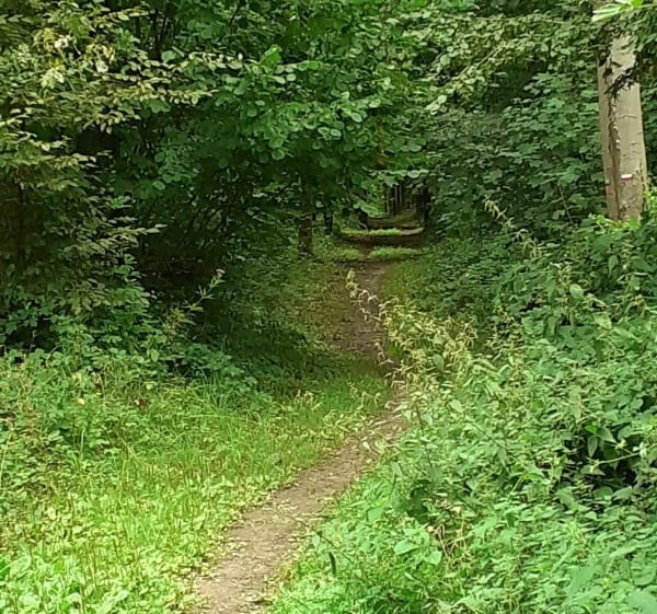 Contes et légendes de Mormal - Landrecies - 1