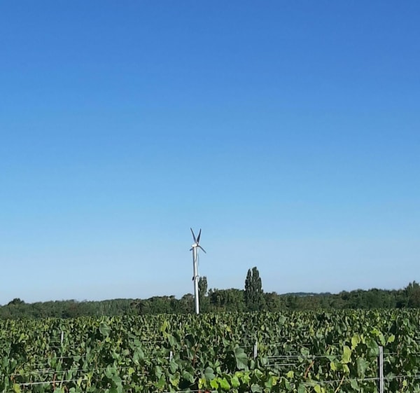 Agréable balade dans les coteaux, le long du Cher - Civray-de-Touraine - 1